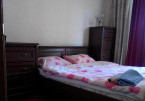 Comfortable flat near the Dnieper river in Kyiv